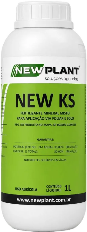 KS 1L